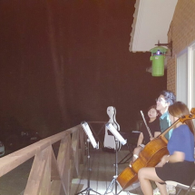 Farm party with classical music